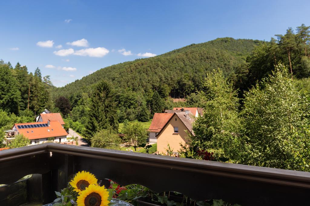 Hotel Die Kleine Blume Erfweiler ภายนอก รูปภาพ