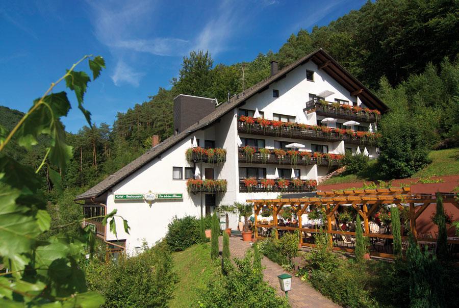Hotel Die Kleine Blume Erfweiler ภายนอก รูปภาพ